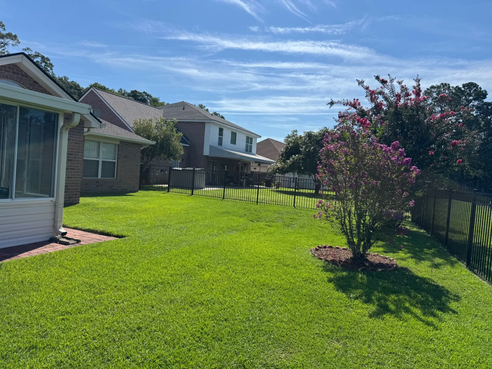 Backyard lawn with mulched crape myrtle bed and black metal fencing after maintenance