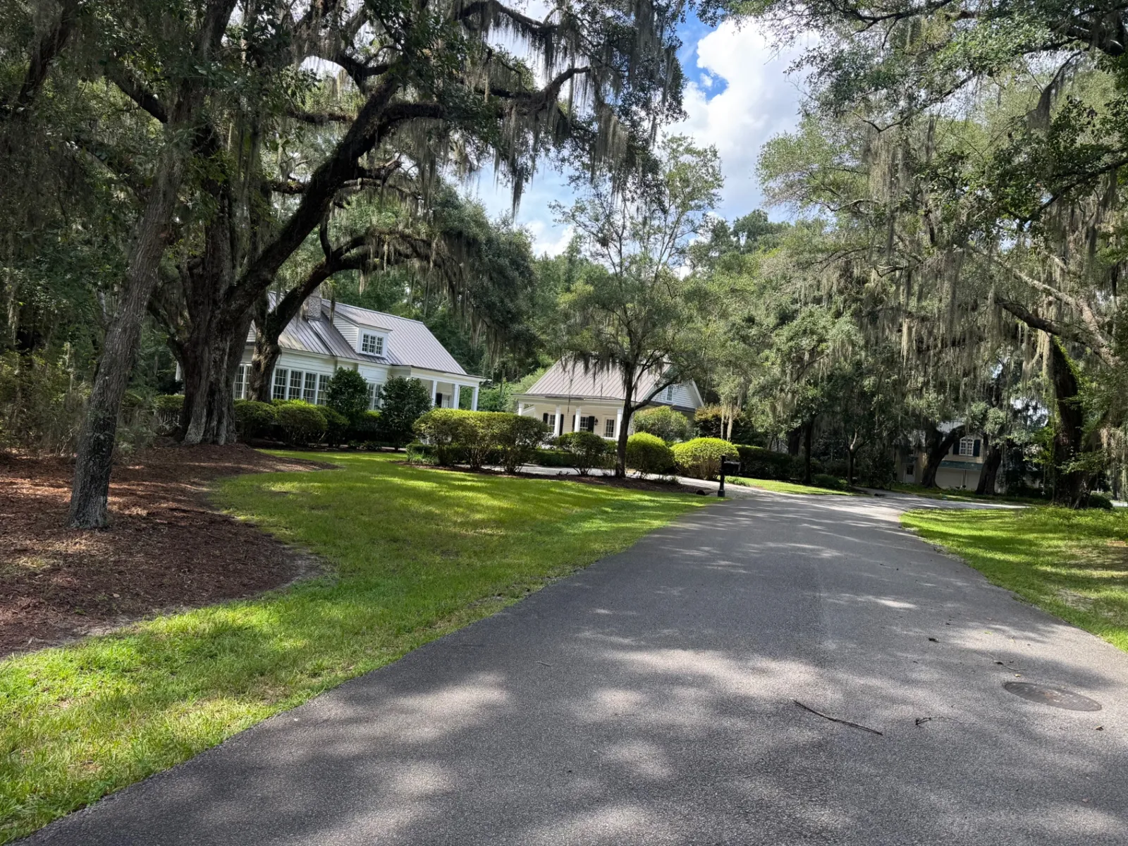 Live oak lined driveway with trimmed hedges and fresh mulch beds at a Coastal Georgia home