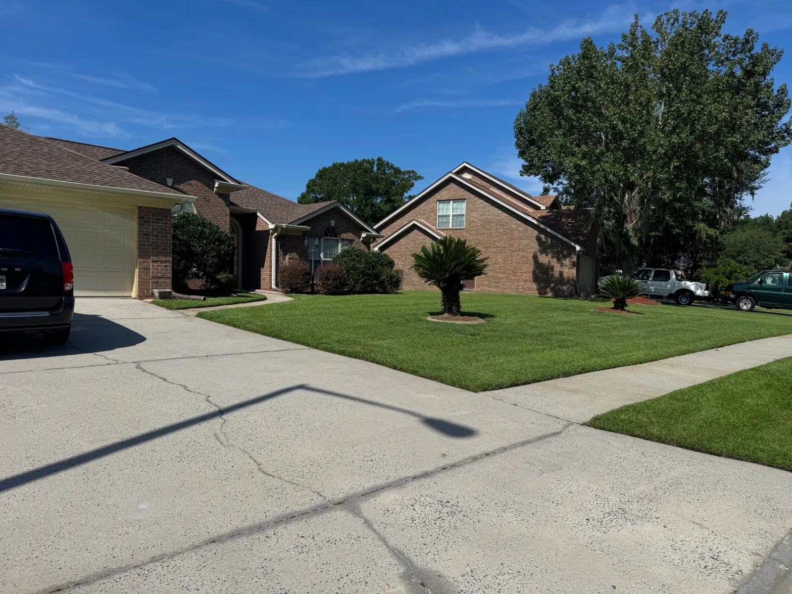 Freshly mowed front lawn with palm and mulched beds along a clean concrete driveway